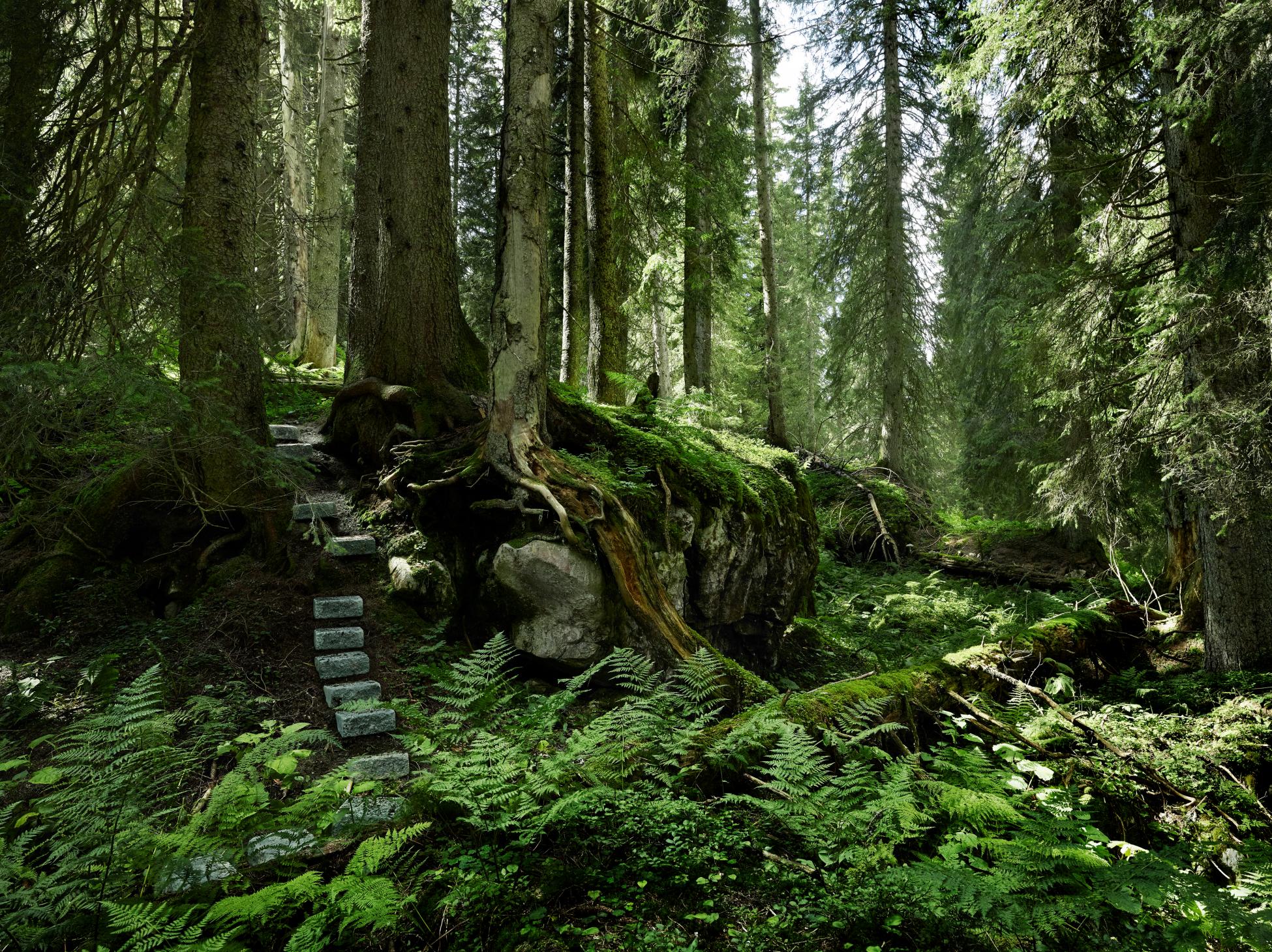 Gübelin - Mystical Garden