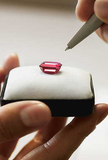 A hand holding a red ruby which is lying on a gemstone box, as well as a pen pointing to the ruby